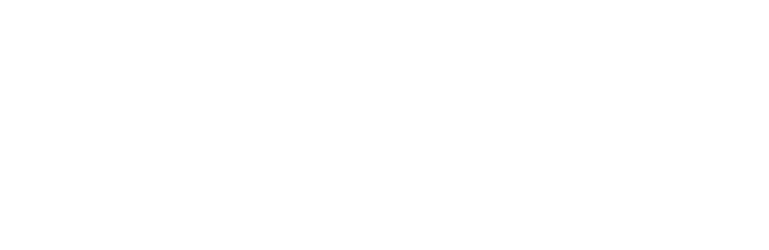 Special Endeavor Studios